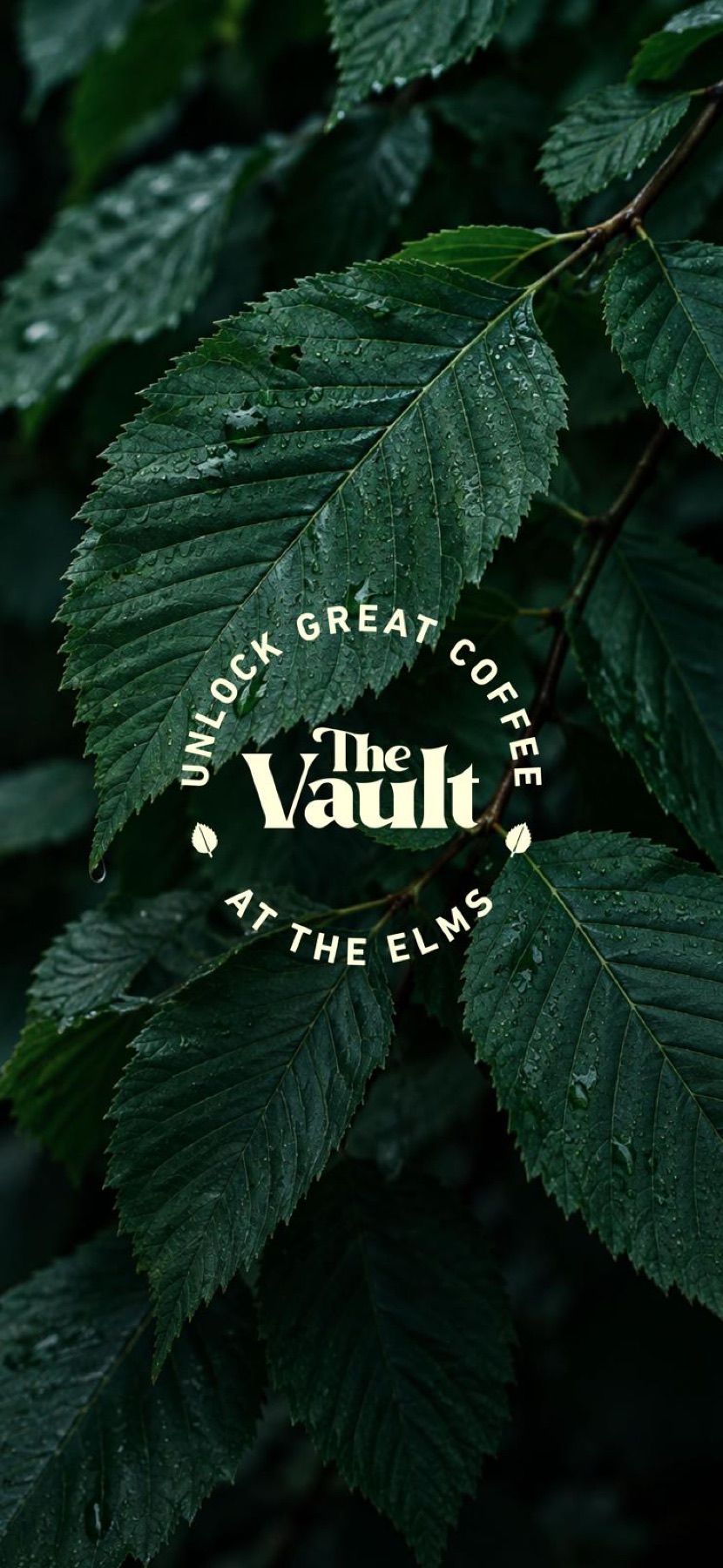 The Vault at the Elms logo on a background of green elm leaves